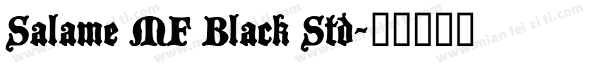 Salame MF Black Std字体转换